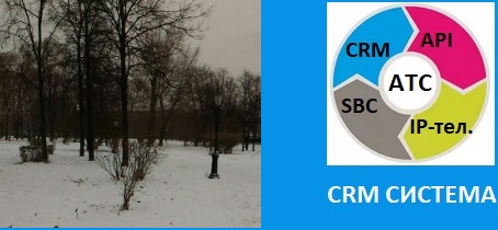 Организация виртуальной связи. CRM