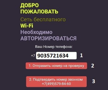 Авторизация  в сети Free Wi fi